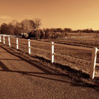 Installer une base de clôture : les étapes à suivre